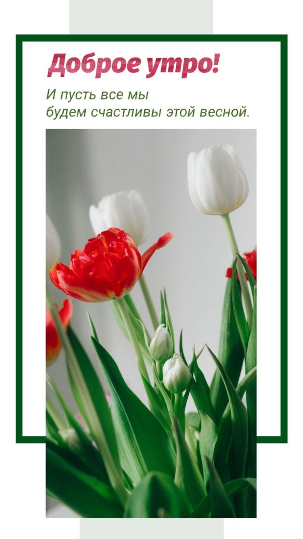доброго утра весна