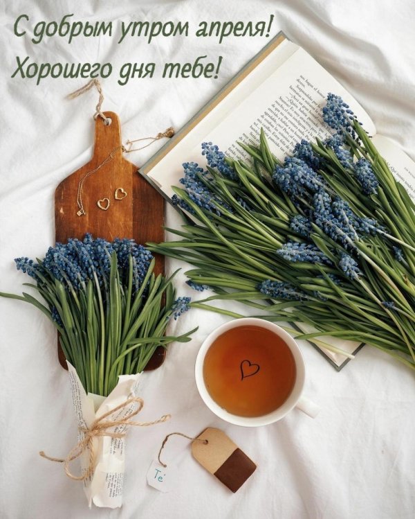 доброе утро и хорошего дня стильные