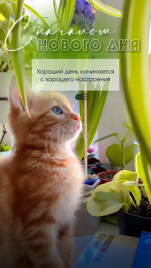 хорошего настроение