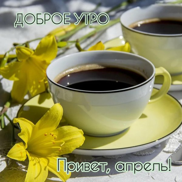 добрейшего весеннего утра