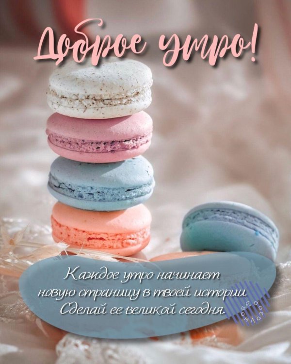 макаронсы сабины