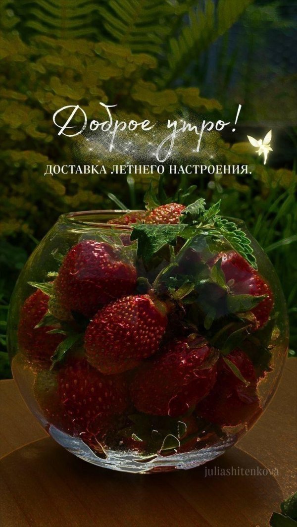 добрейшего летнего утра