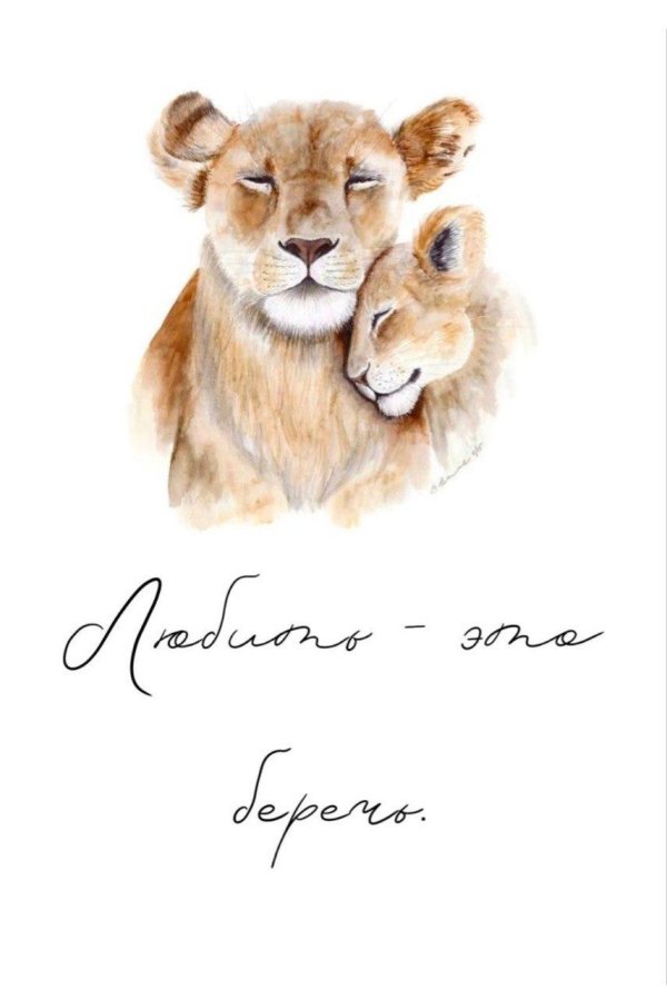 львица открытка