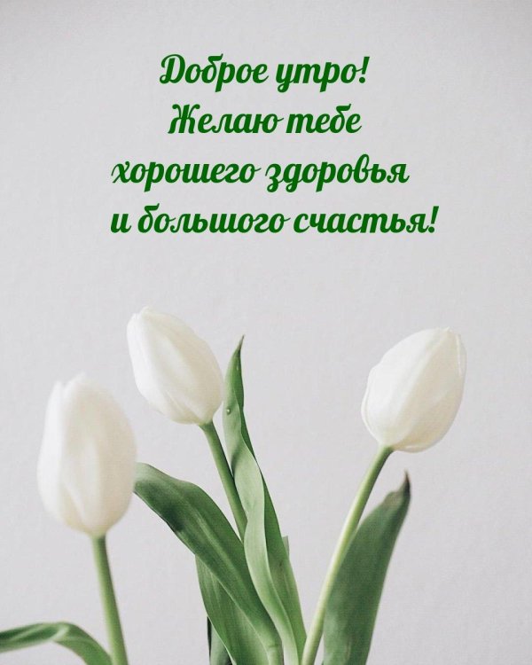 Доброе утро здоровья вам