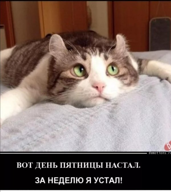 Скукота