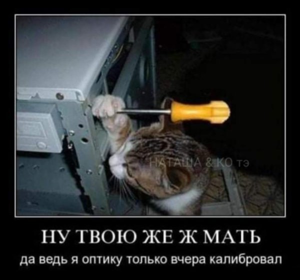 Ешкин кот