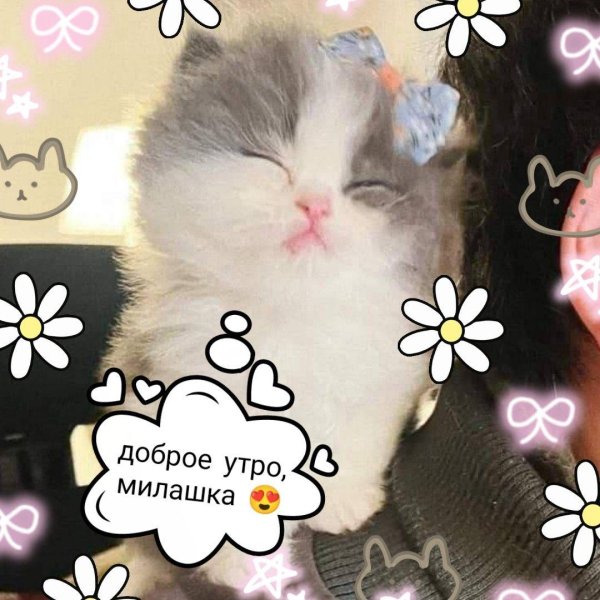 доброе утро милашка