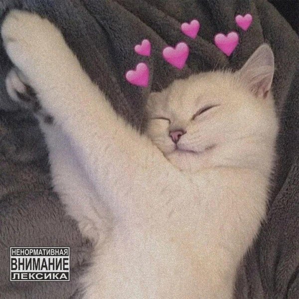 милые пикчи спокойной ночи