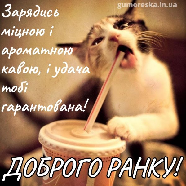 доброго ранку