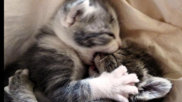 милые обнимашки