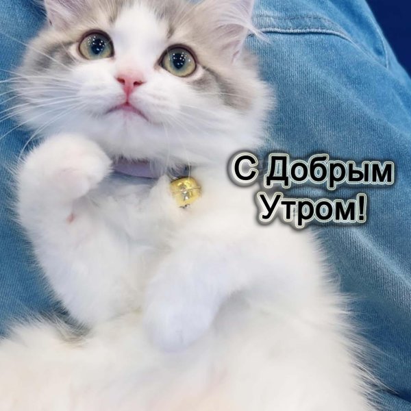 позитивная открытка с добрым утром