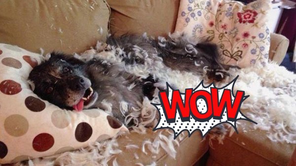 демотиваторы смешные