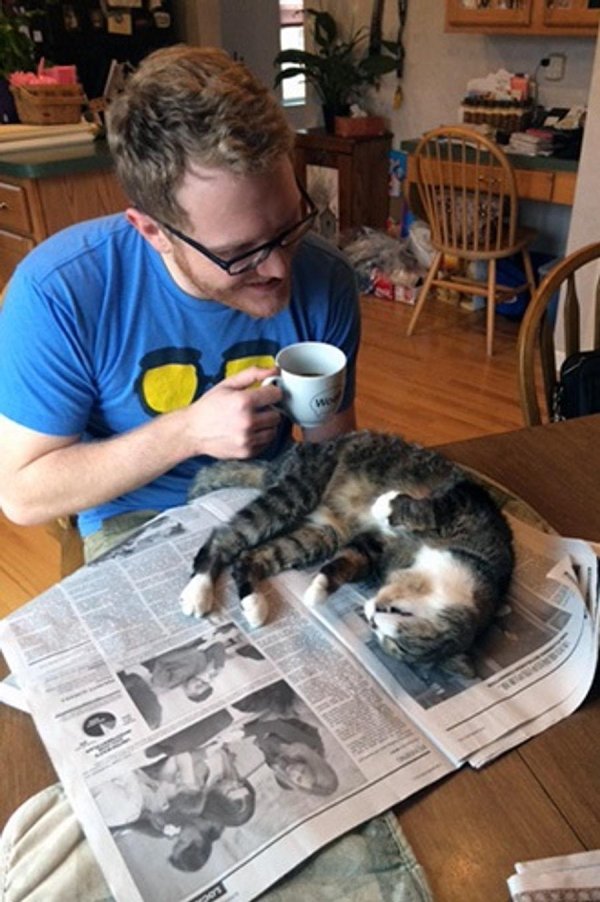 домашнее животное