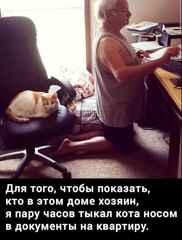 хозяин в доме