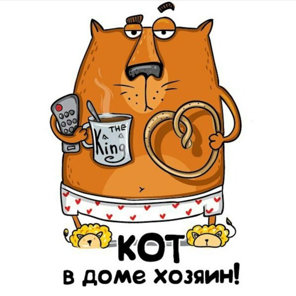 иллюстрация кот