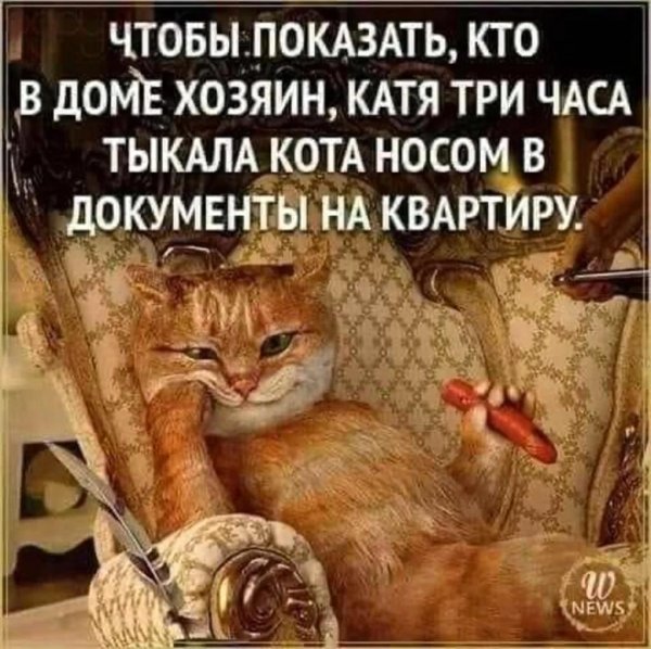 хозяин в доме