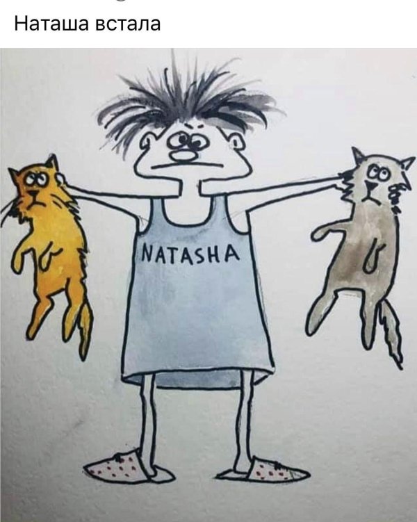 смешные открытки