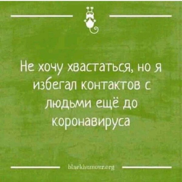 смешное высказывание