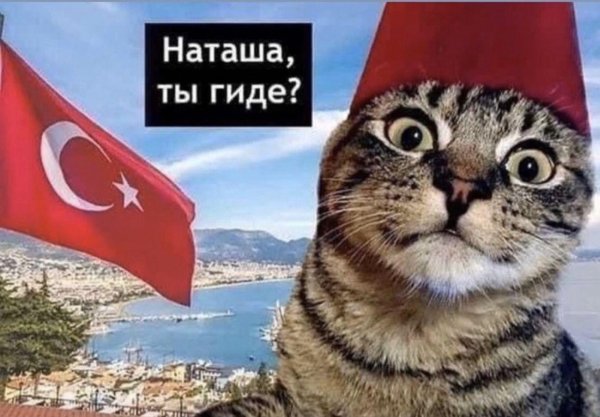 турция страна