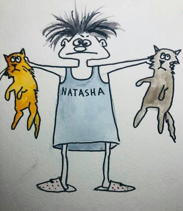 смешные открытки