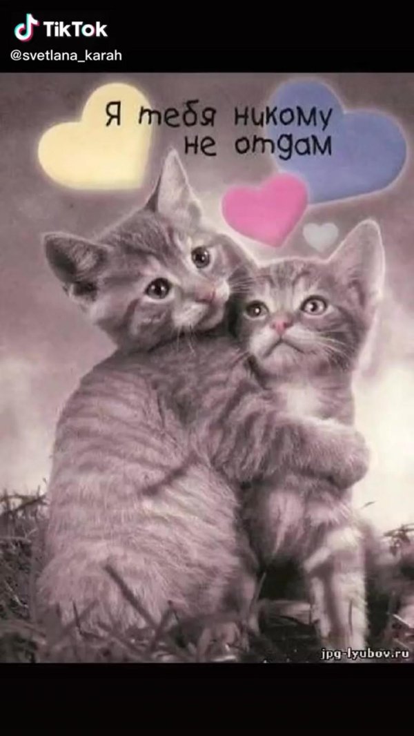 никому не отдам тебя