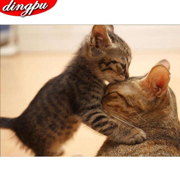 котик целует