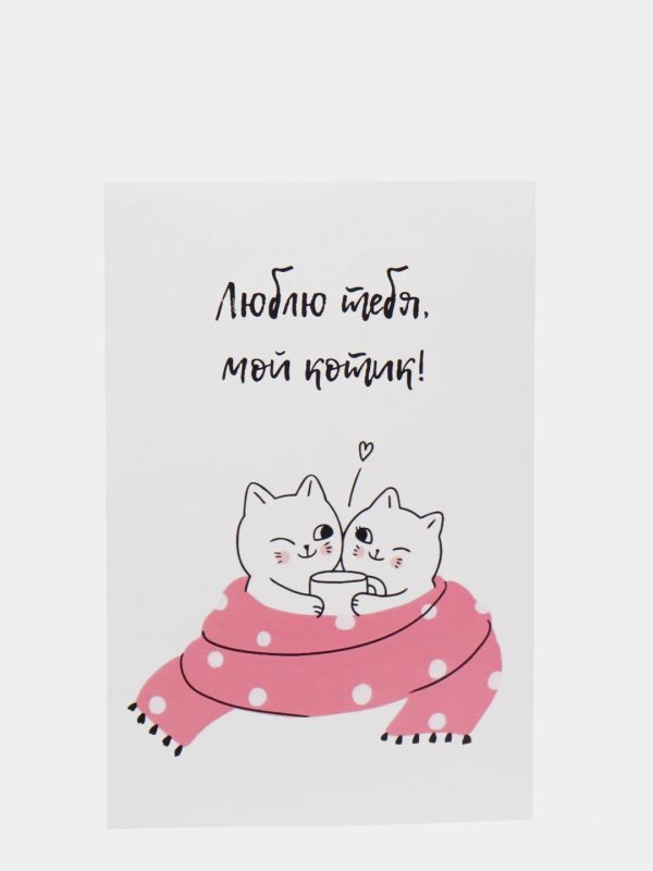 моему котику