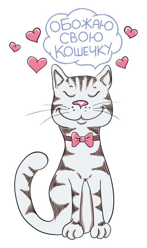обожаю свою кошечку
