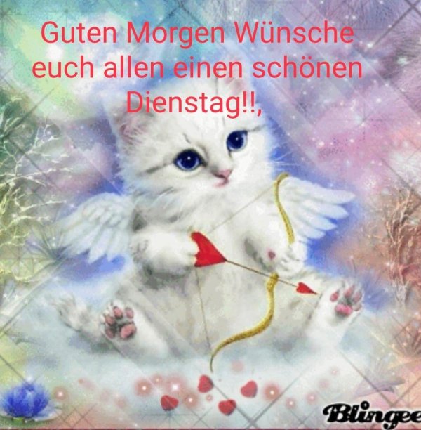 кот купидон