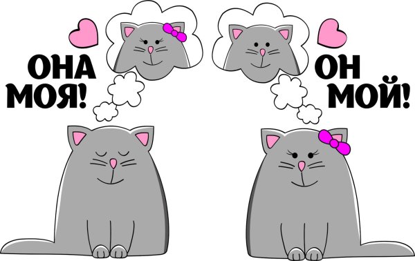 половинка моя