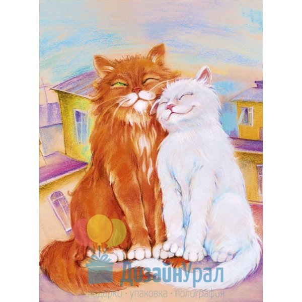 влюбленные коты