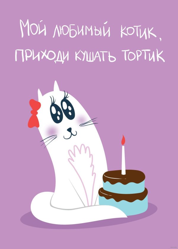 моему котику