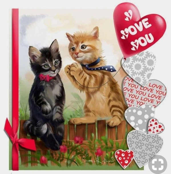 валентинки с котятами