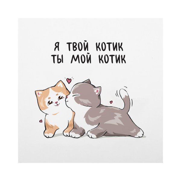 моему котику