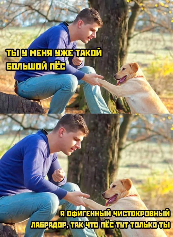 приколы с людьми