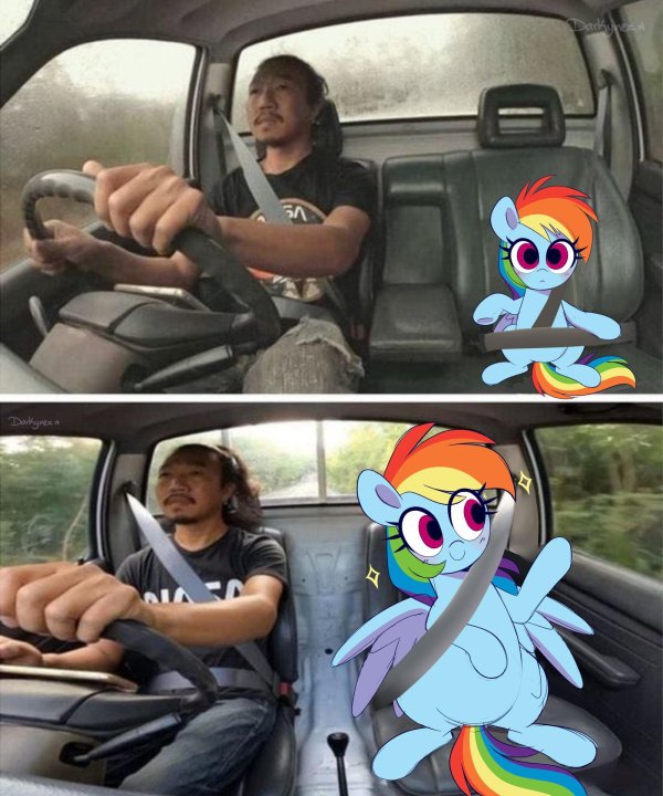 rainbow dash