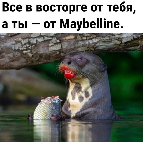 амазонская выдра