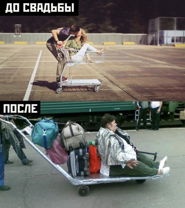 телега для бабушек