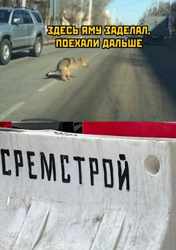 приколы про дороги