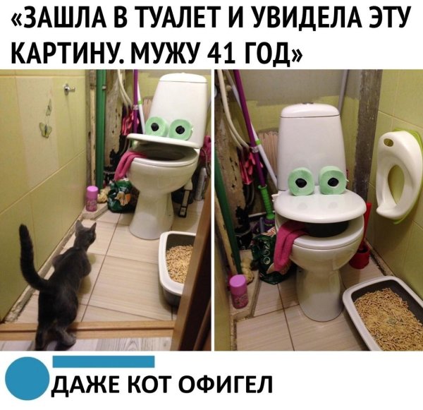 говорящий унитаз