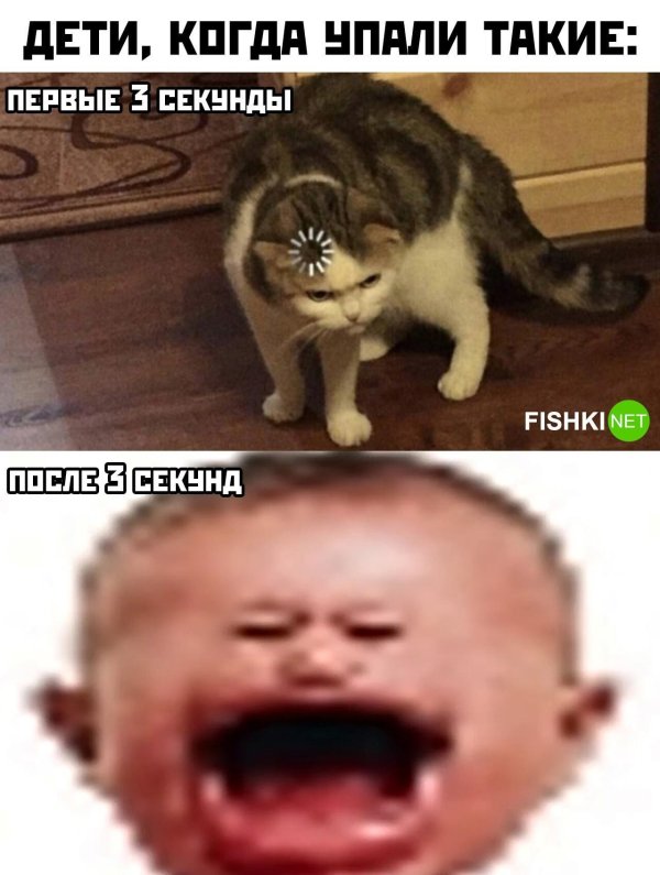 кот загрузка