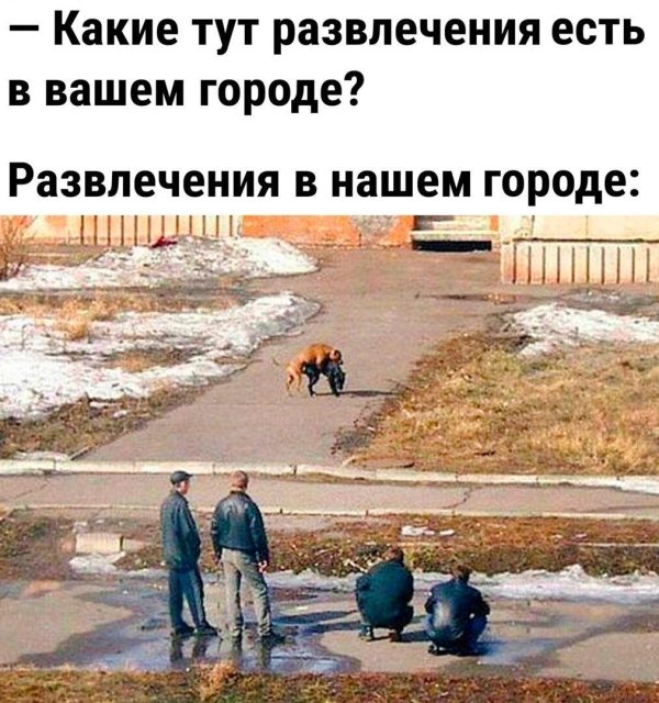 топовые шутки