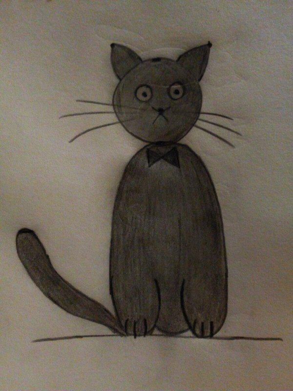 Котиков карандашом