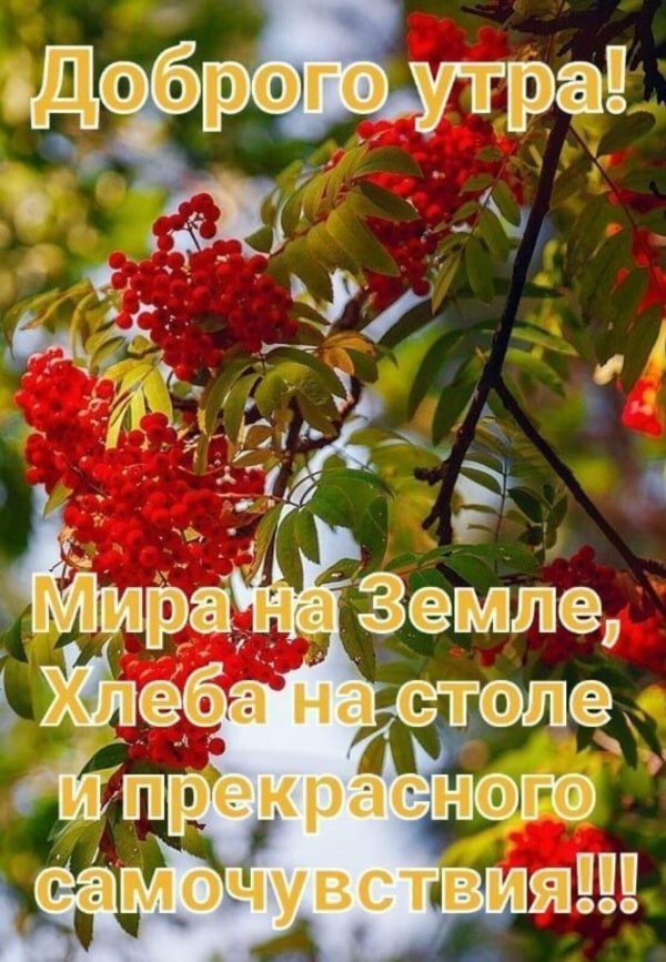 Доброе утро вот и август