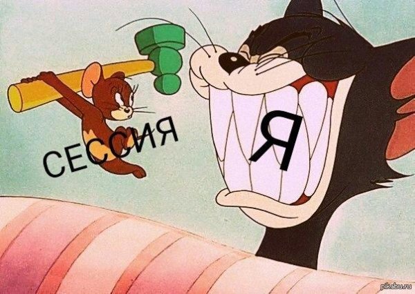 Том кот