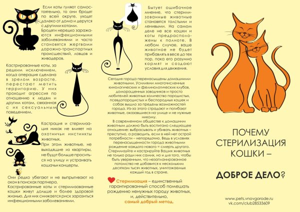 зачем стерилизовать кошку