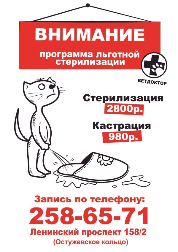 льготная стерилизация