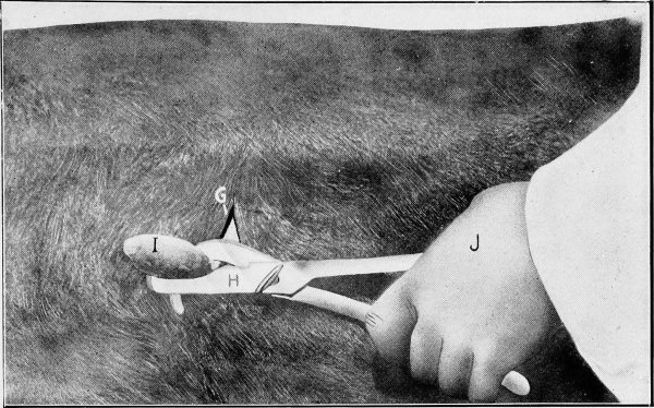 кастрация жеребца