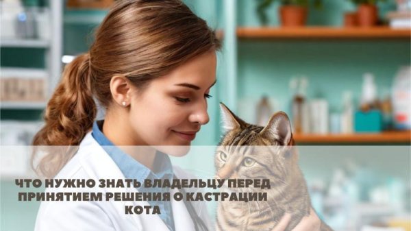 ветеринарный врач