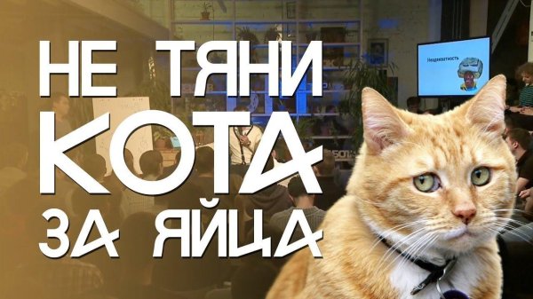 кота за яйца